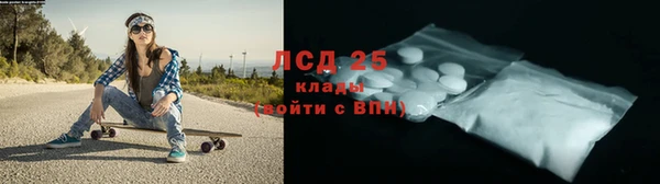 a pvp Новодвинск