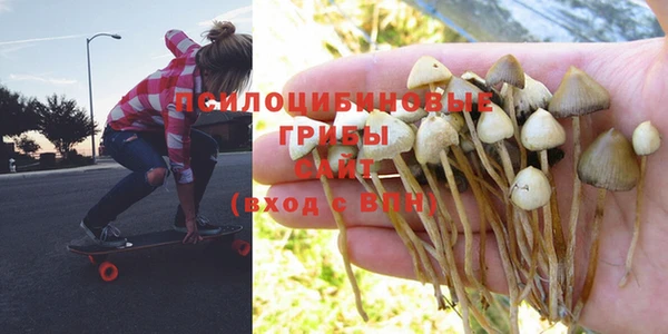 a pvp Новодвинск